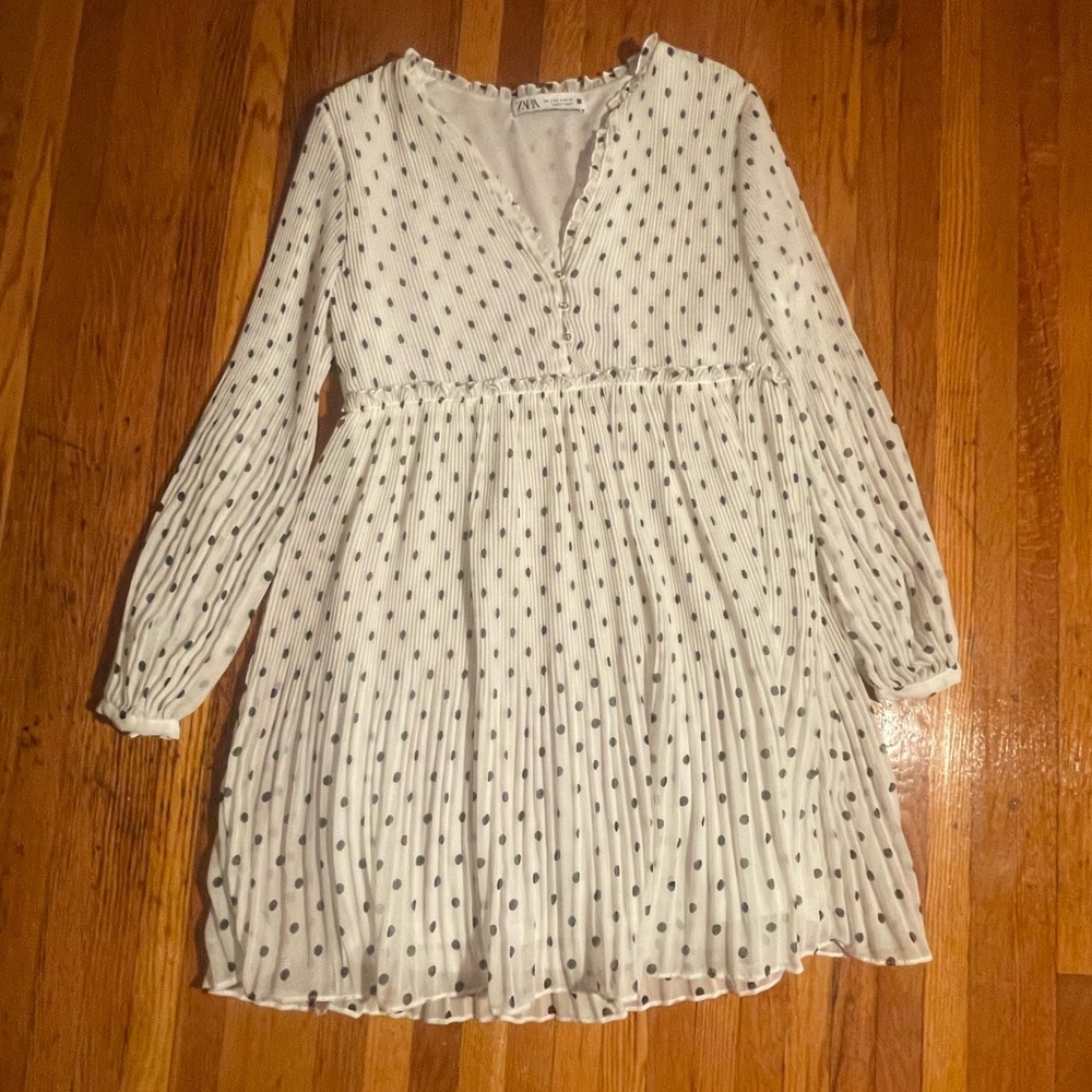 Zara Polka Dot Picnic Dress